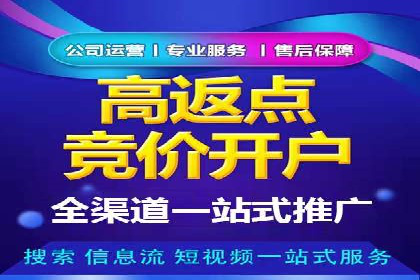 某电商平台的SEM推广策略及效果分析